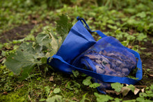 Load image into Gallery viewer, "N Is for Nature" Science Activity Booklet + FREE Explorer Treasure Bag